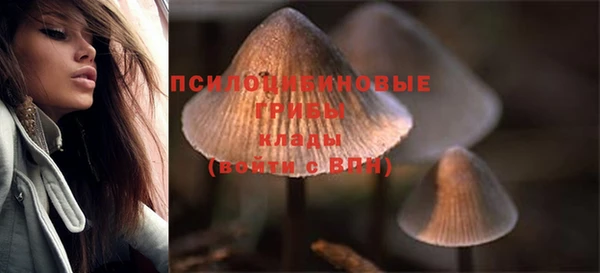 стаф Абдулино