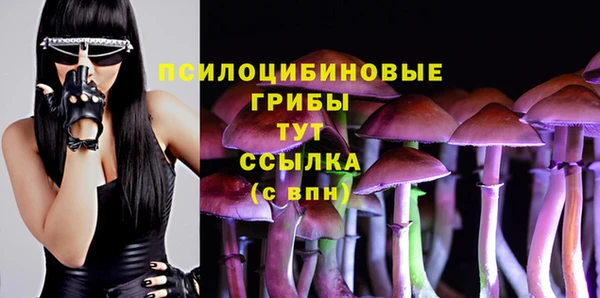 хмурый Абинск