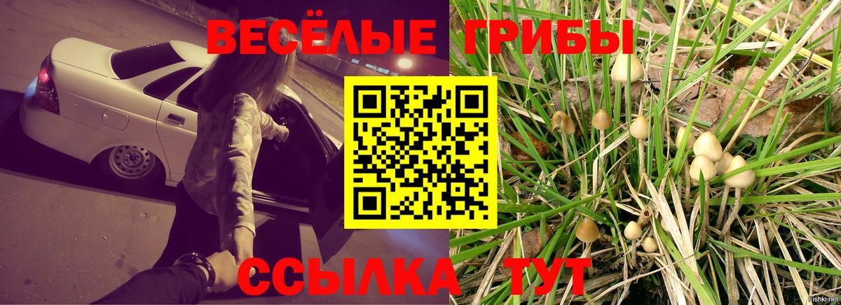 Азнакаево  Галлюциногенные грибы Psilocybine cubensis  наркотики  Вход с VPN 